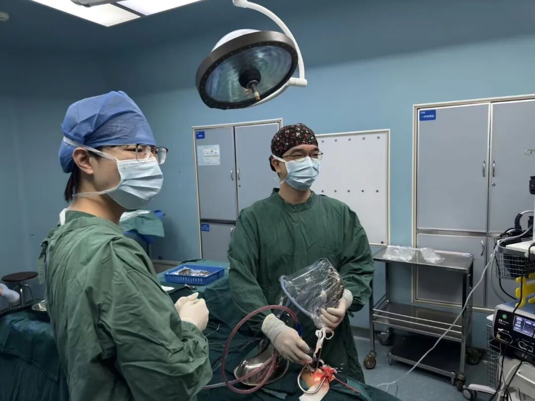 刚出手术室,发现一堆未接来电!浙大医学博士紧急补位:“还有个患者等着我救” 刚出手术室,发现一堆未接来电!浙大医学博士紧急补位:“还有个患者等着我救”