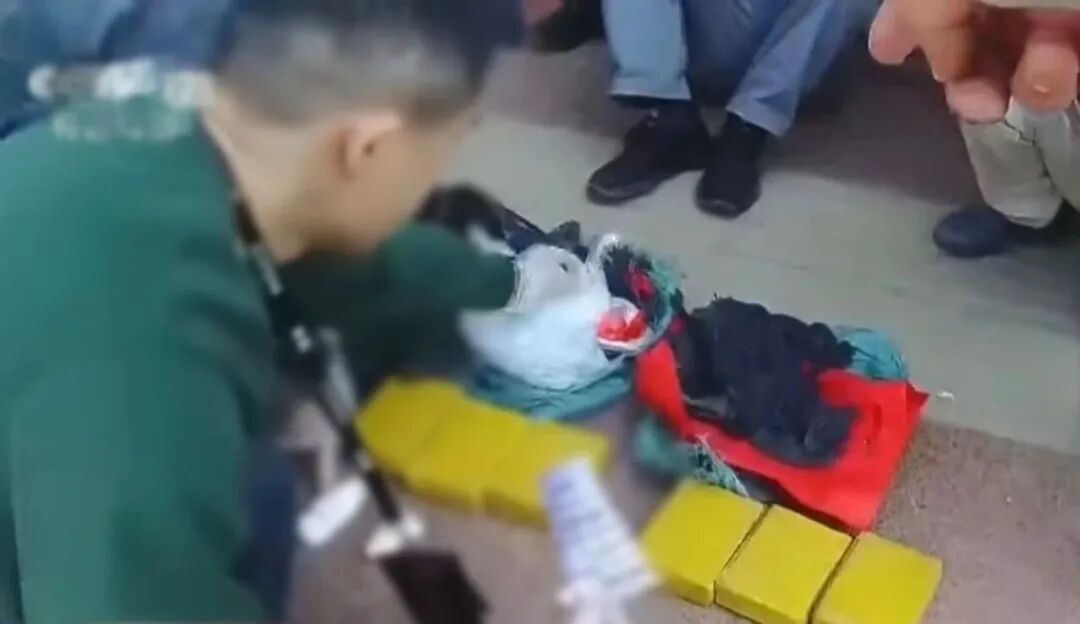 76岁男子跨境运毒,同行旅游搭子全程不知情,还“帮忙取包”…… 76岁男子跨境运毒,同行旅游搭子全程不知情,还“帮忙取包”……