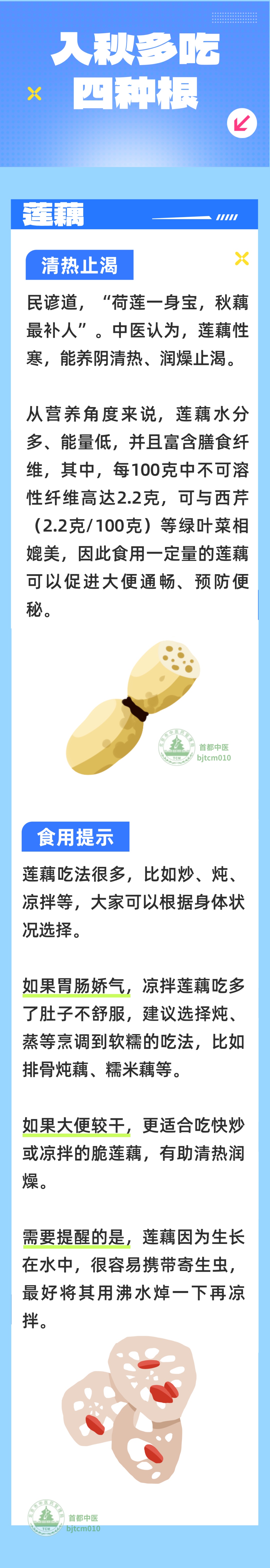 “秋吃根,赛过参”!入秋后多吃4种根,生津液、润肠道、养肺气,比喝水更舒服 “秋吃根,赛过参”!入秋后多吃4种根,生津液、润肠道、养肺气,比喝水更舒服