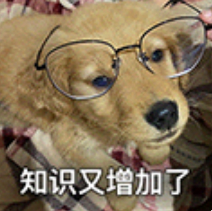 “身份证照片最接近别人看到的自己” &nbsp;网友：真相了！原来自己长这样……