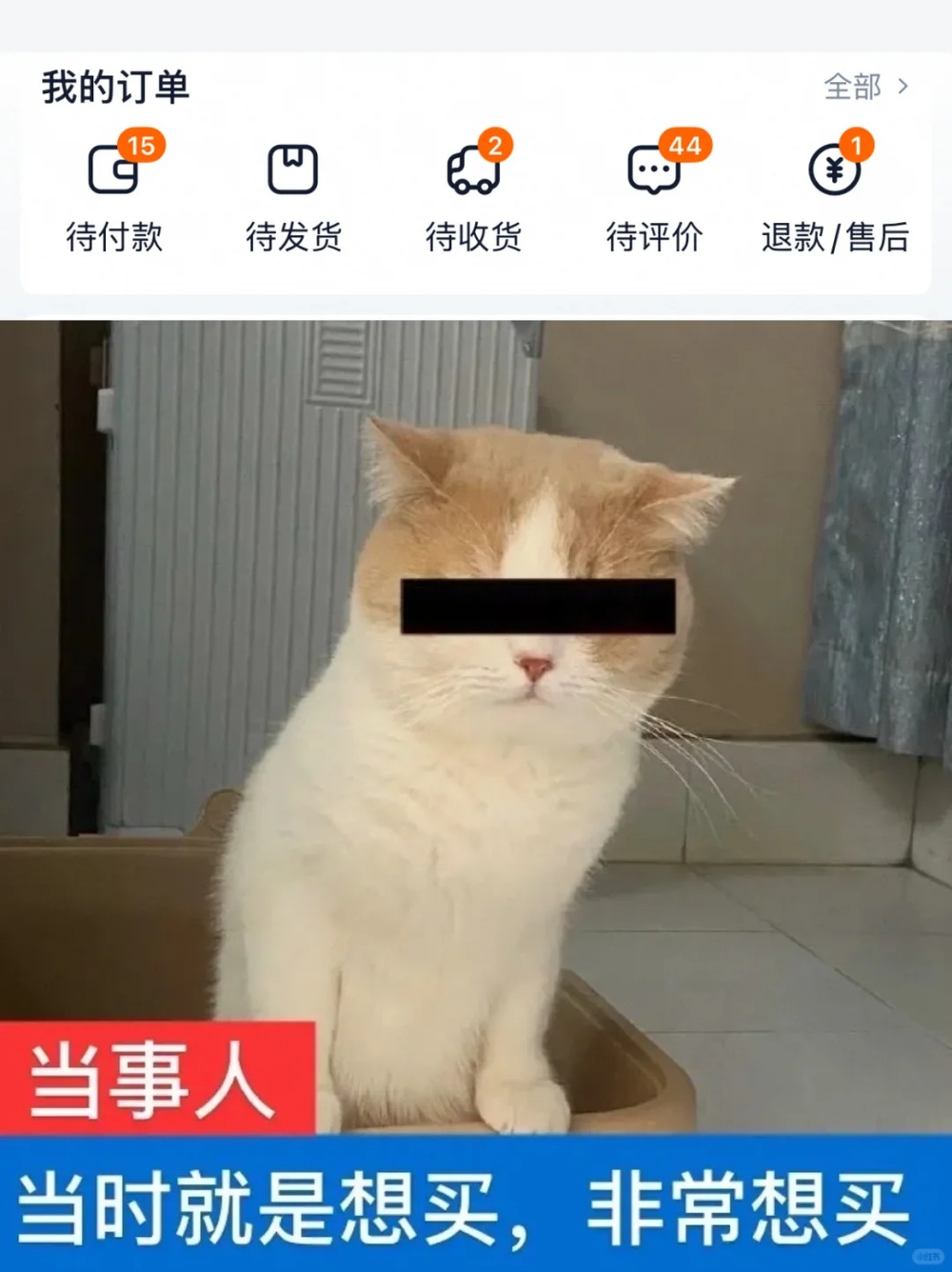 千万不要相信你睡前的大脑 千万不要相信你睡前的大脑
