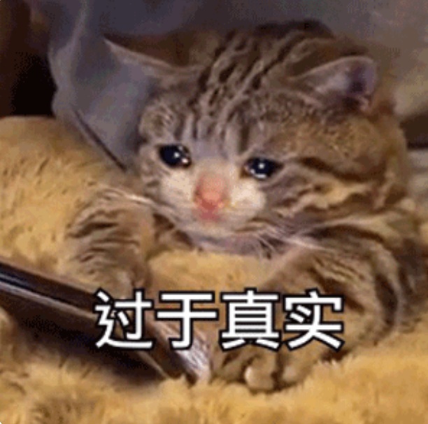 “身份证照片最接近别人看到的自己” &nbsp;网友：真相了！原来自己长这样……
