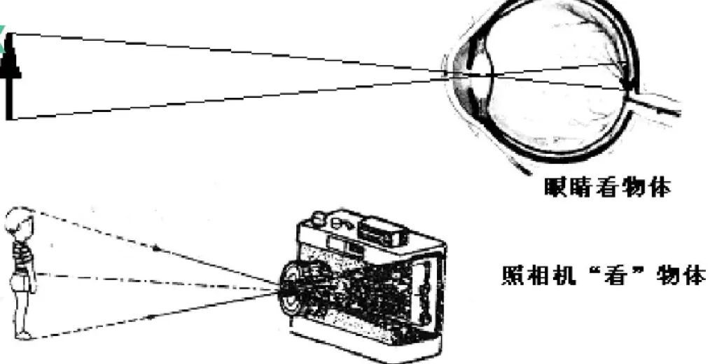“身份证照片最接近别人看到的自己” &nbsp;网友：真相了！原来自己长这样……