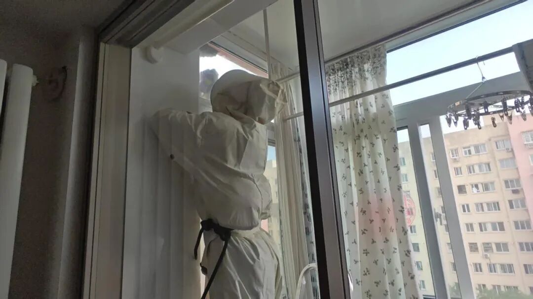 八天八起摘蜂窝，秋季马蜂窝报警为何这么多？