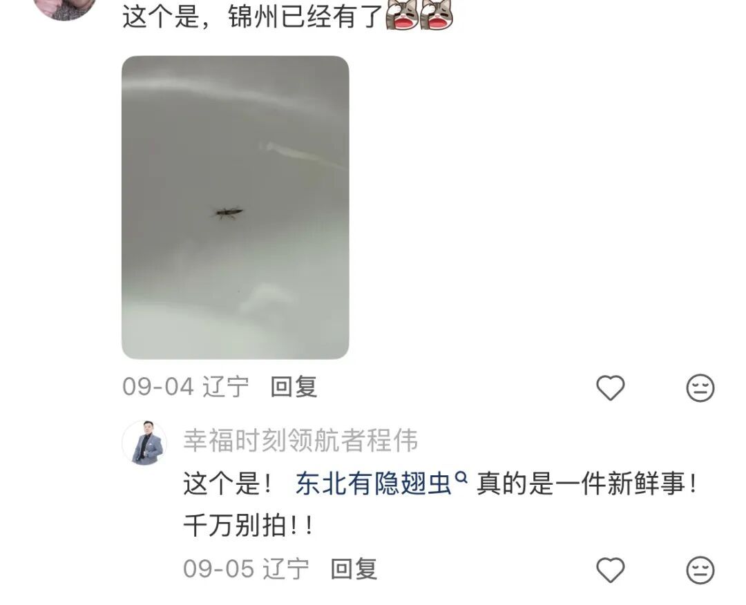 多地已出现,被称为“飞行的硫酸”?紧急提醒 多地已出现,被称为“飞行的硫酸”?紧急提醒