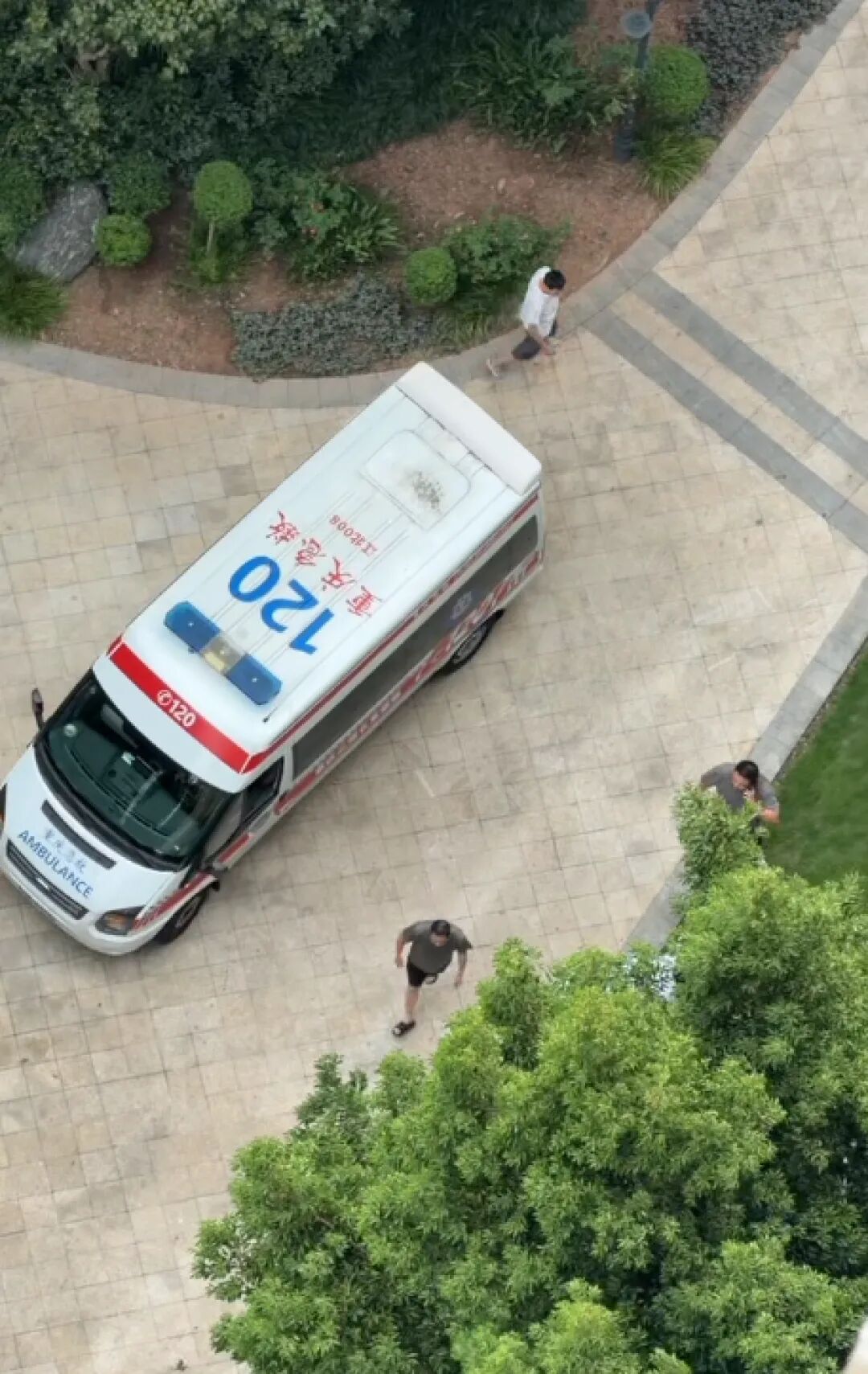 重庆2岁幼童从18楼坠亡,母亲称父亲把孩子独自留在家中去遛狗,父亲发声:我很愧疚 重庆2岁幼童从18楼坠亡,母亲称父亲把孩子独自留在家中去遛狗,父亲发声:我很愧疚