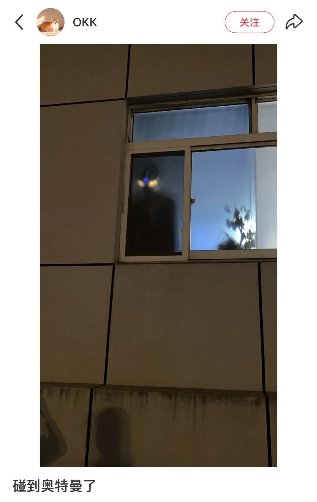 事发上海地铁站！“夜晚窗口赫然出现一双发光的眼睛！”真相竟是……