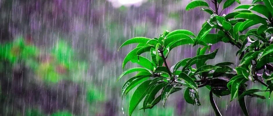 雷阵雨+阵雨马上到！警惕强对流，河北未来三天……