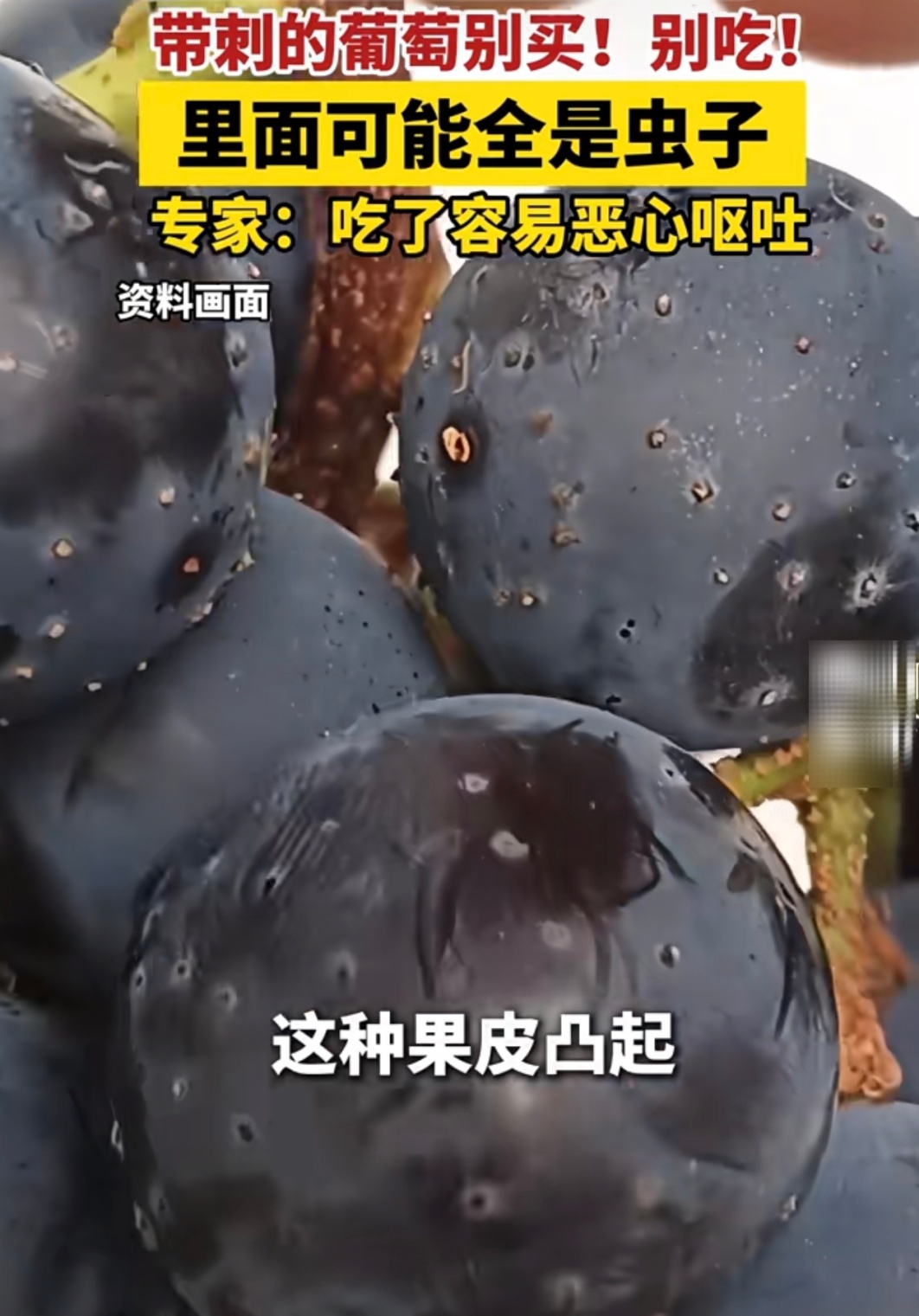 警惕，这样的葡萄里面都是虫？近期大量出现，别随便吃
