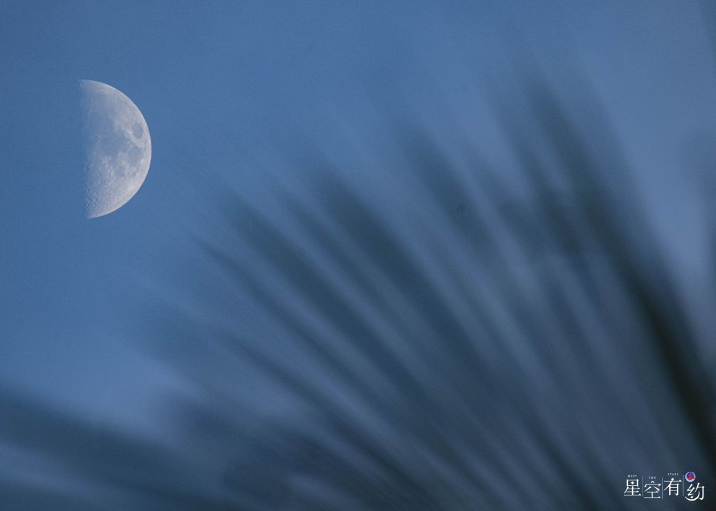 星空有约｜年度最小上弦月、最亮“长庚”将同现天宇