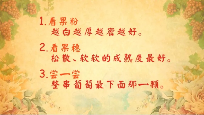 警惕，这样的葡萄里面都是虫？近期大量出现，别随便吃
