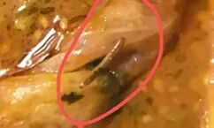 谎称“菜里有虫”喊赔钱,3小时讹3家店!两男子碰瓷被抓 谎称“菜里有虫”喊赔钱,3小时讹3家店!两男子碰瓷被抓