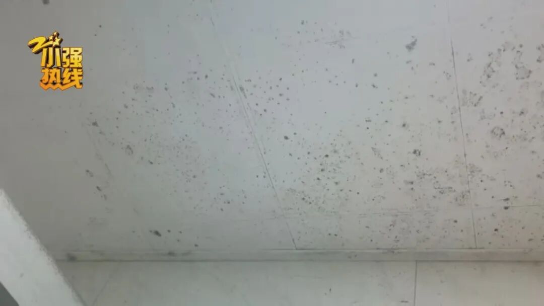 租了8年房，退租被扣押金！房东：太脏了，开荒式搞卫生！租客：死磕到底