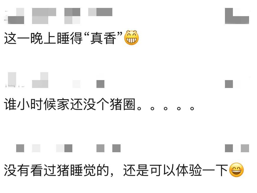 冲上热搜!8888元一晚,猪景房 冲上热搜!8888元一晚,猪景房