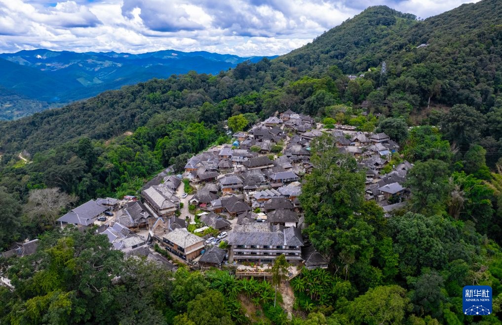 云南景迈山:游客寻茶香 古寨续新篇 云南景迈山:游客寻茶香 古寨续新篇
