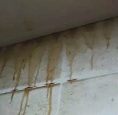 租了8年房，退租被扣押金！房东：太脏了，开荒式搞卫生！租客：死磕到底