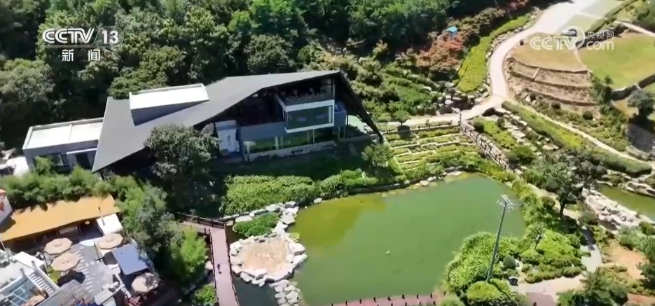 新场景、新体验撬动乡村文旅融合产业链 “微度假”“慢旅游”激发消费新活力