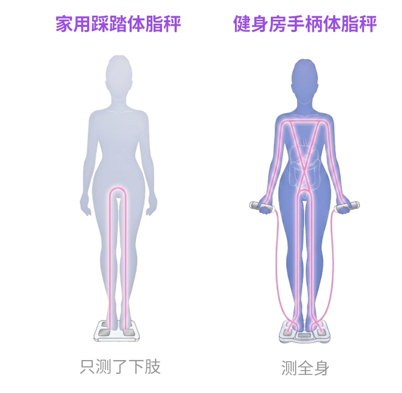 你家的体脂秤,可能天天在“骗”你 你家的体脂秤,可能天天在“骗”你