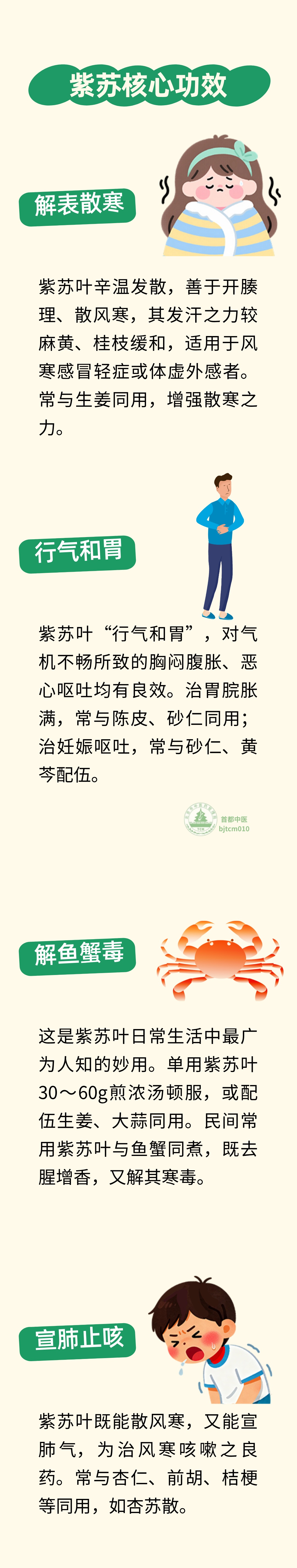 小小一片,却是养身好帮手!它和螃蟹是绝配,提鲜香、解油腻,还能散风寒、防感冒 小小一片,却是养身好帮手!它和螃蟹是绝配,提鲜香、解油腻,还能散风寒、防感冒