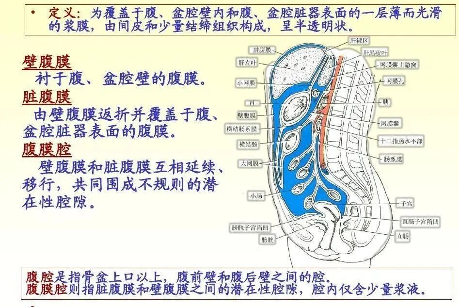 这些情况会引发腹膜炎,千万别忽视 这些情况会引发腹膜炎,千万别忽视