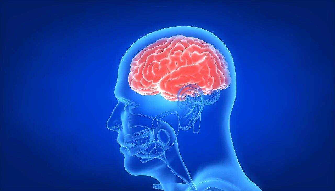 总忘事≠阿尔茨海默病 4个测试初步观察老人认知状态 总忘事≠阿尔茨海默病 4个测试初步观察老人认知状态