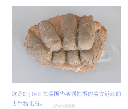 特写！这些中国文物要回家了