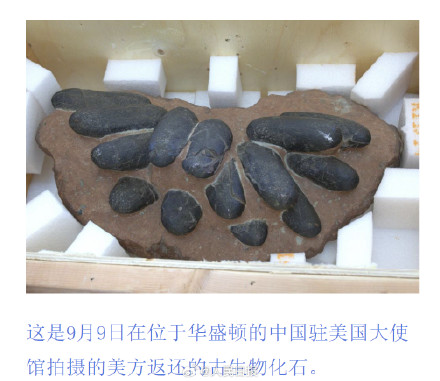 特写！这些中国文物要回家了