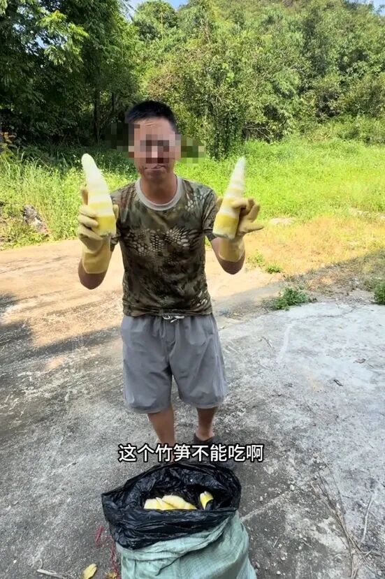 “个别窝点违法使用硫磺熏蒸麻竹笋”，官方通报：情况属实！