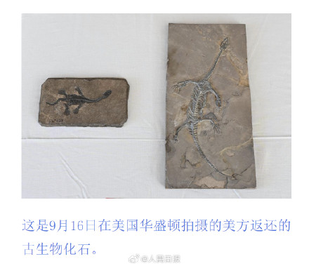 特写！这些中国文物要回家了