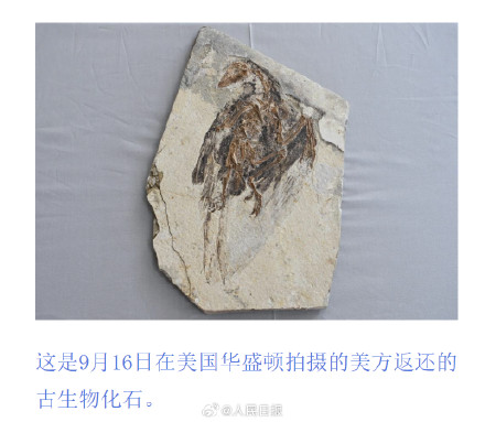 特写！这些中国文物要回家了