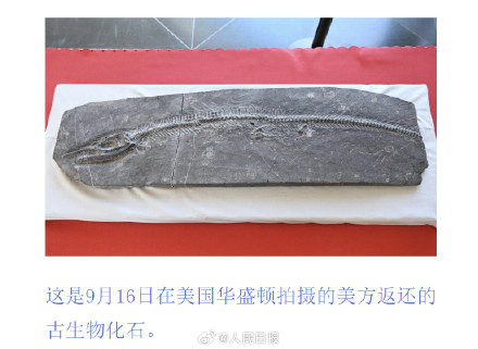 特写！这些中国文物要回家了