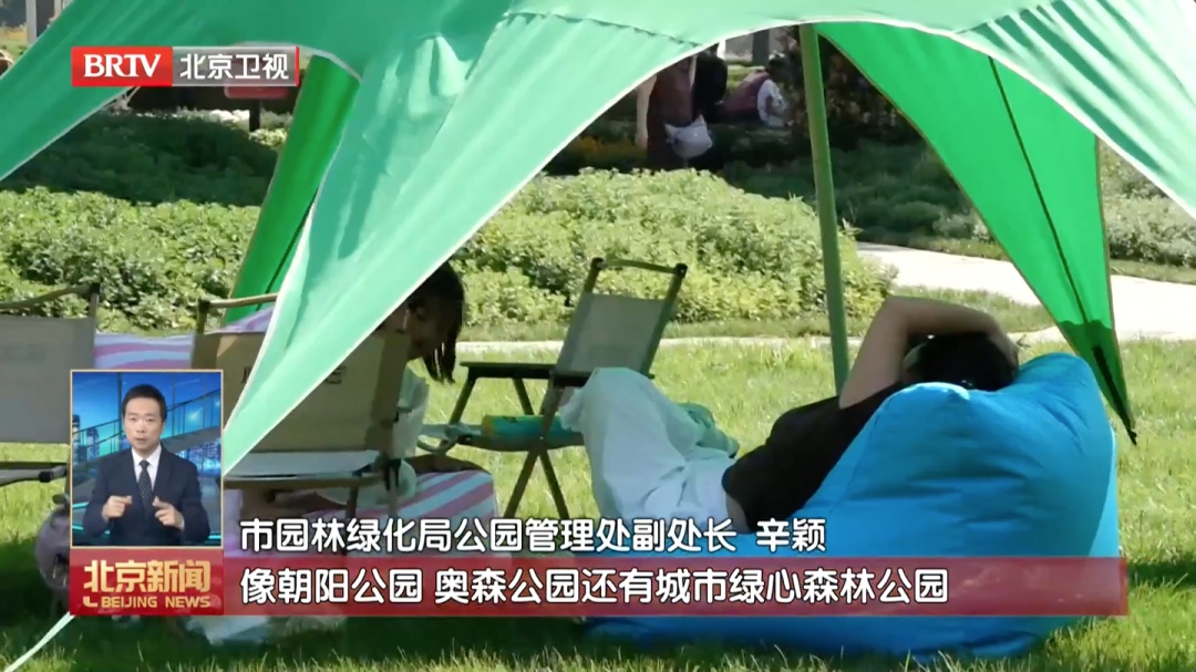 北京新增10处!国庆假期,一起到树底下放空如何? 北京新增10处!国庆假期,一起到树底下放空如何?