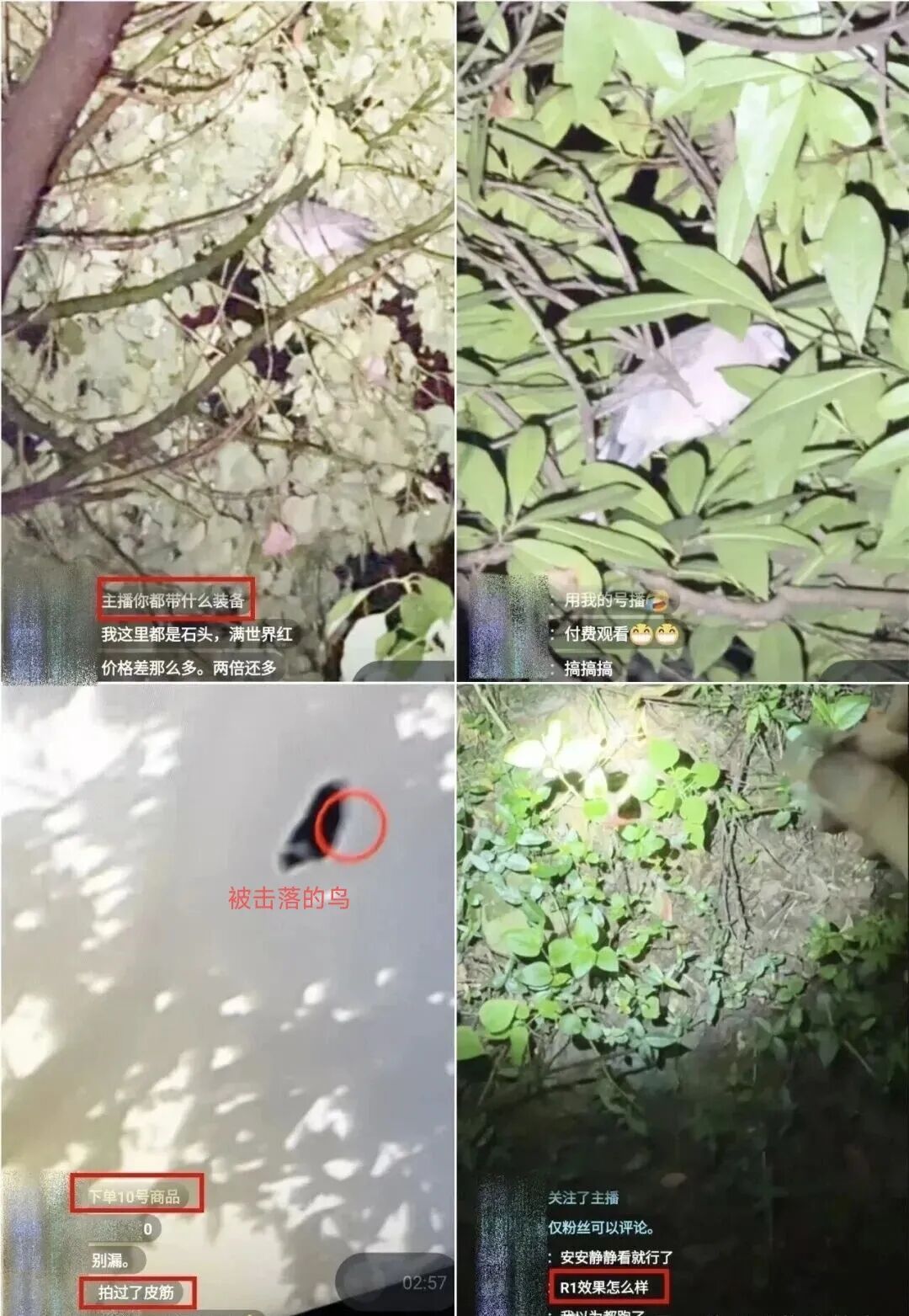 彻底凉凉!浙江两名主播被抓!平台多次封禁账号,两人频繁更换小号继续开播 彻底凉凉!浙江两名主播被抓!平台多次封禁账号,两人频繁更换小号继续开播