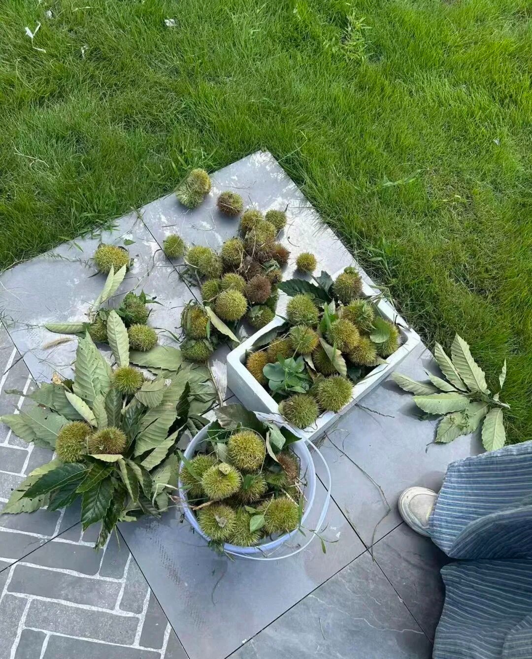 年轻人纷纷涌入,杭州有人捡了两大筐!但有一点要注意 年轻人纷纷涌入,杭州有人捡了两大筐!但有一点要注意