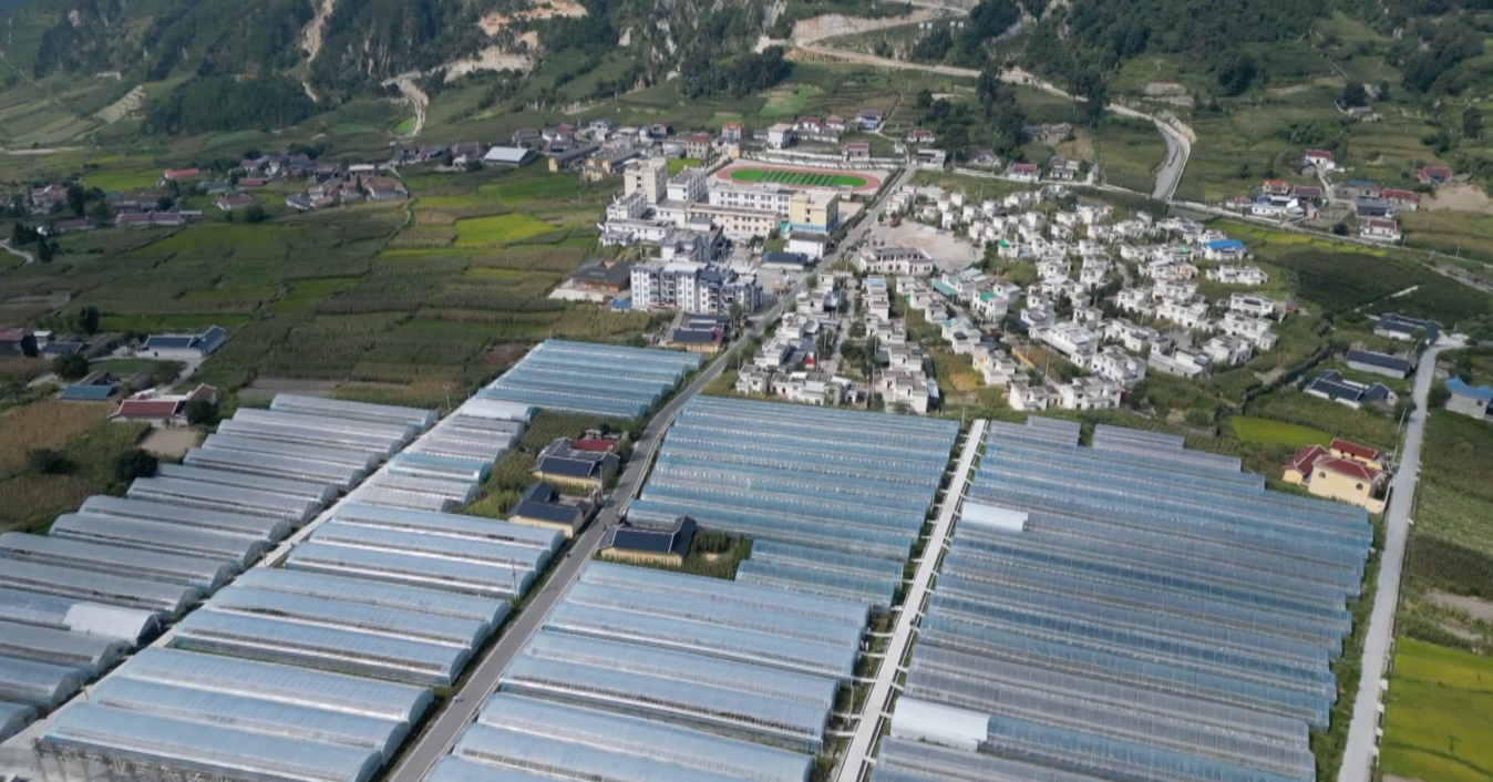 四川喜德甜瓜进入采收季 特色产业带动群众增收 四川喜德甜瓜进入采收季 特色产业带动群众增收