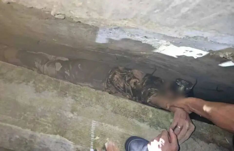 为捡假牙,88岁老人被卡墙缝!消防员这波操作太暖了 为捡假牙,88岁老人被卡墙缝!消防员这波操作太暖了