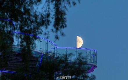 本年度最小上弦月现身天宇 本年度最小上弦月现身天宇