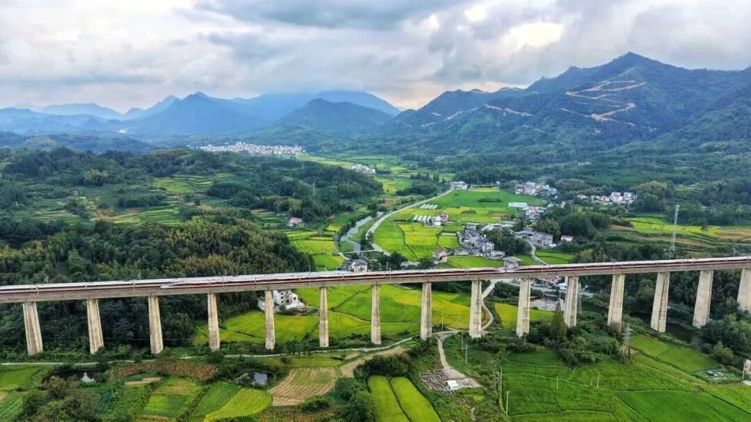 12306:已拒绝出票133.1万张 12306:已拒绝出票133.1万张