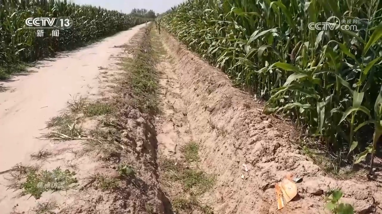 闯关水涝保秋粮!多地科学施策答好稳产答卷 闯关水涝保秋粮!多地科学施策答好稳产答卷