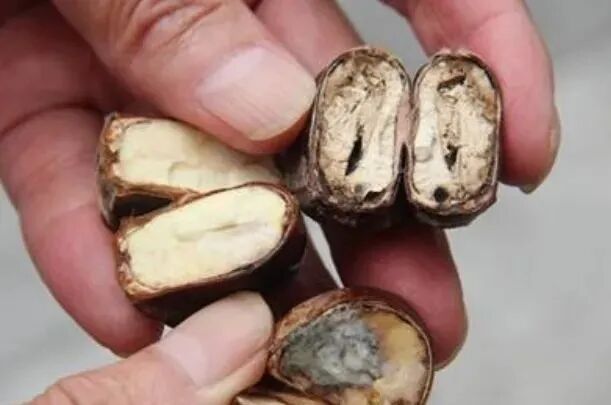 年轻人纷纷涌入,杭州有人捡了两大筐!但有一点要注意 年轻人纷纷涌入,杭州有人捡了两大筐!但有一点要注意