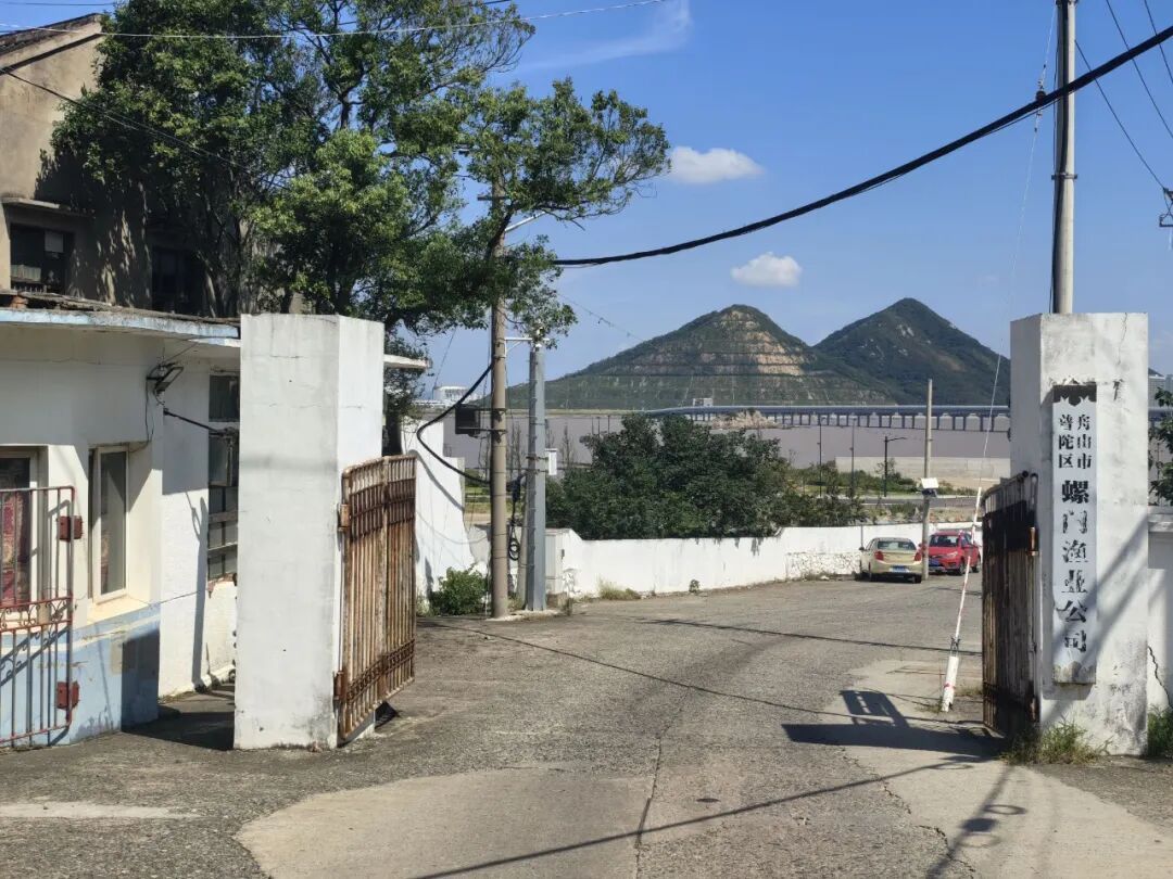 浙江舟山一老人落水失踪11天后回到家，所在的螺门村曾因渔业繁荣被称为“小香港”，远至湖南、四川等地的人赶来当渔民，如今后辈不再出海