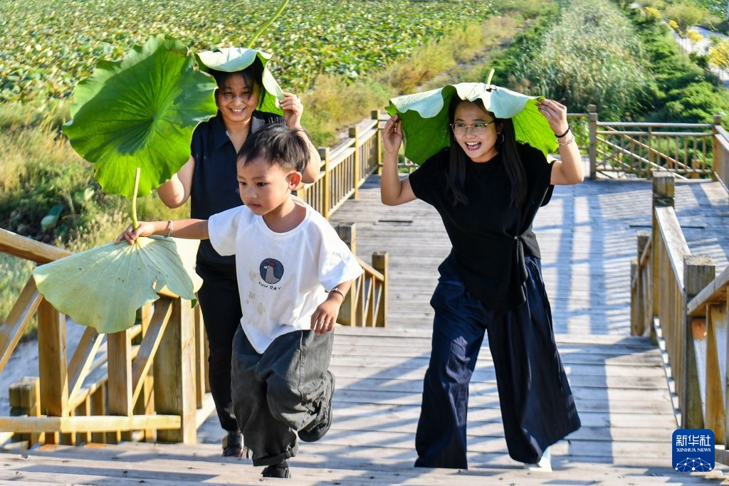 黄河滩涂产业兴 黄河滩涂产业兴