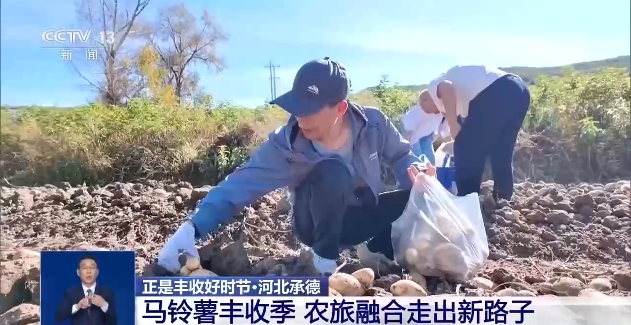 处处好“丰”景 水产捕捞、田间秋收齐上线