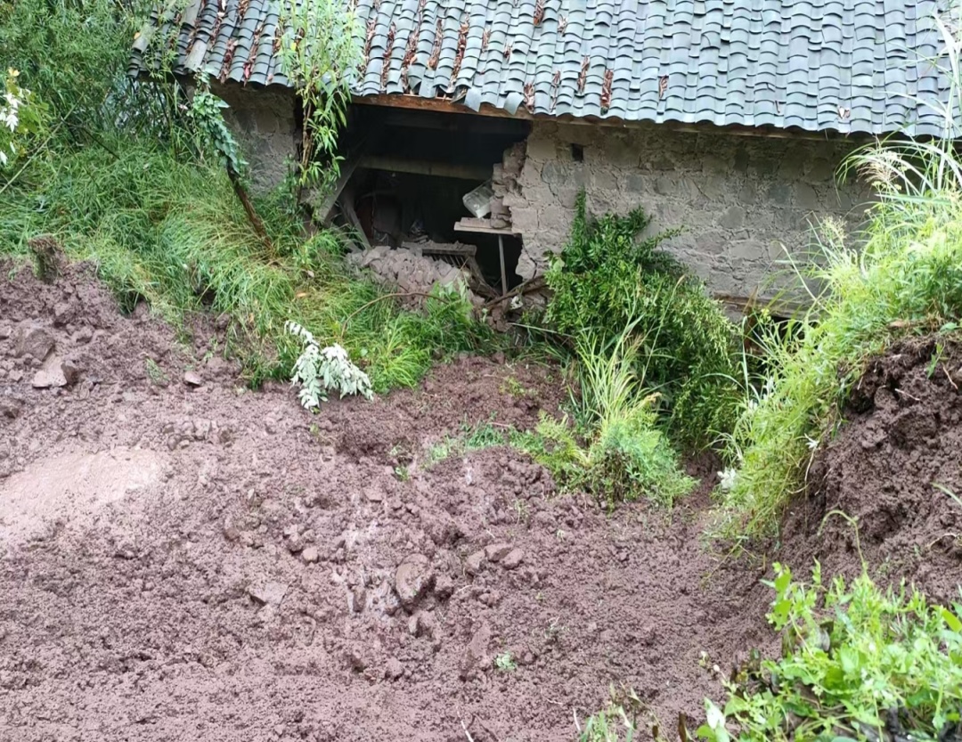 成功避险！云南多地紧急转移82人