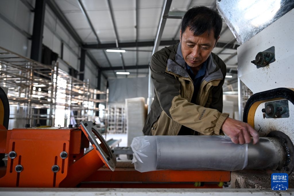 内蒙古乌兰浩特:食用菌产业助农增收促振兴 内蒙古乌兰浩特:食用菌产业助农增收促振兴