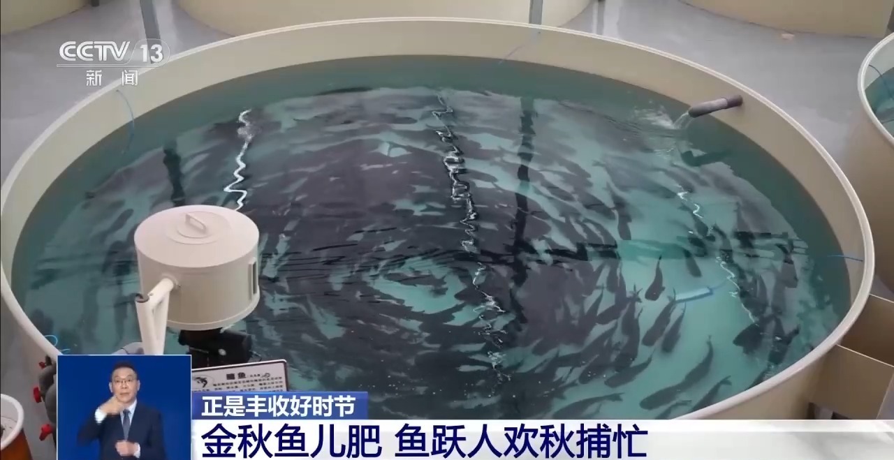 处处好“丰”景 水产捕捞、田间秋收齐上线