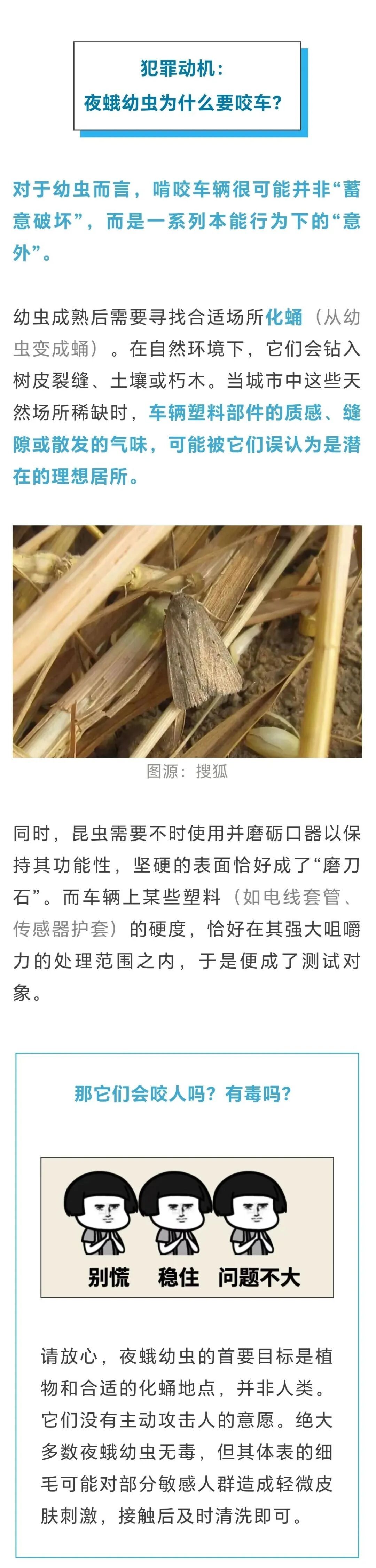 车子千万别停在这种树下！