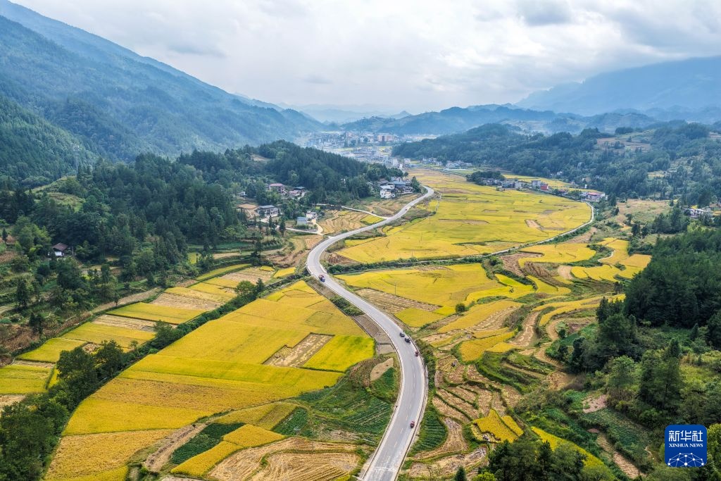 重庆黔江:武陵山区迎秋收 重庆黔江:武陵山区迎秋收