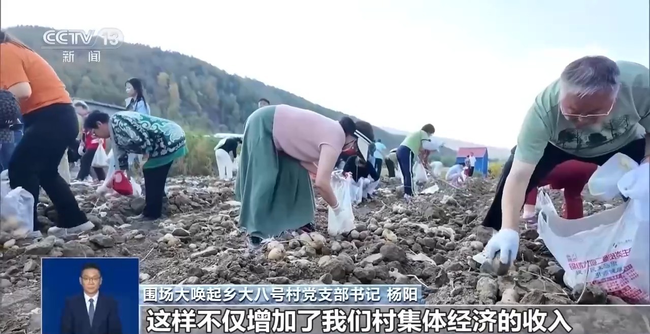 处处好“丰”景 水产捕捞、田间秋收齐上线