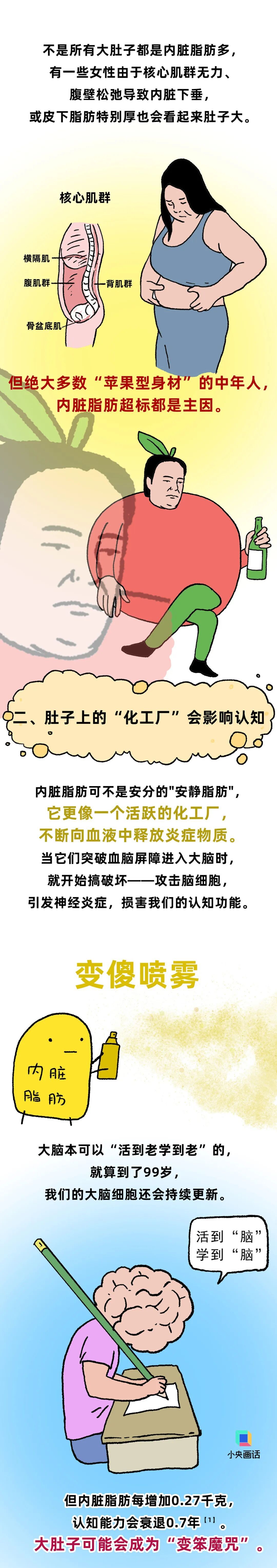 小心！肚子上的“游泳圈”，可能让人变“笨”